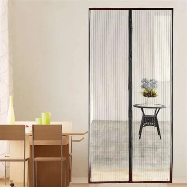 Magnetic door